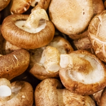 Nấm hương gói 150g.